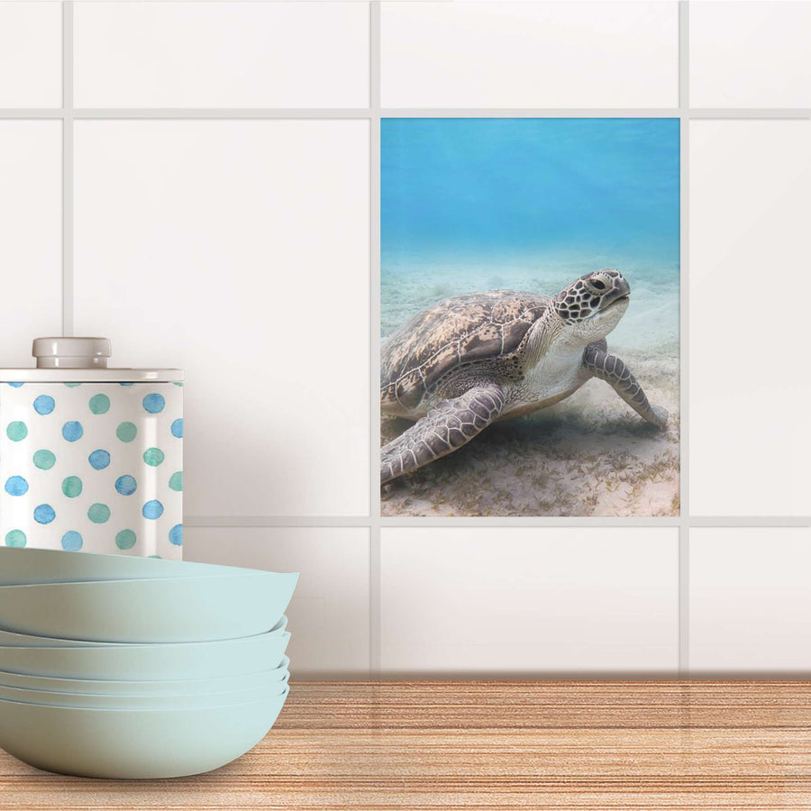 Fliesensticker Küche - Green Sea Turtle