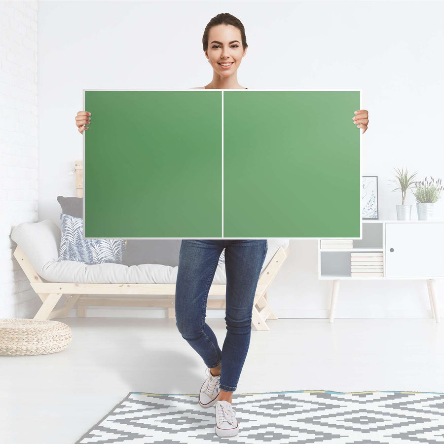 Folie für Möbel Grün Light - IKEA Besta Regal Quer 2 Türen - Folie