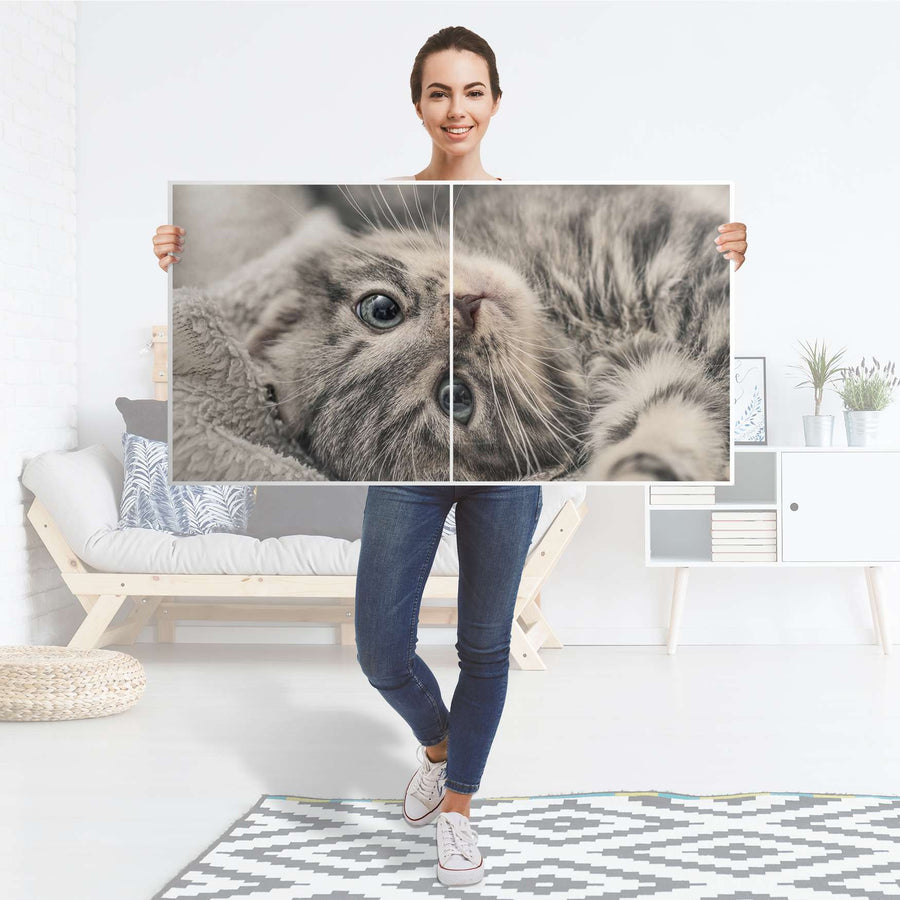 Folie für Möbel Kitty the Cat - IKEA Besta Regal Quer 2 Türen - Folie