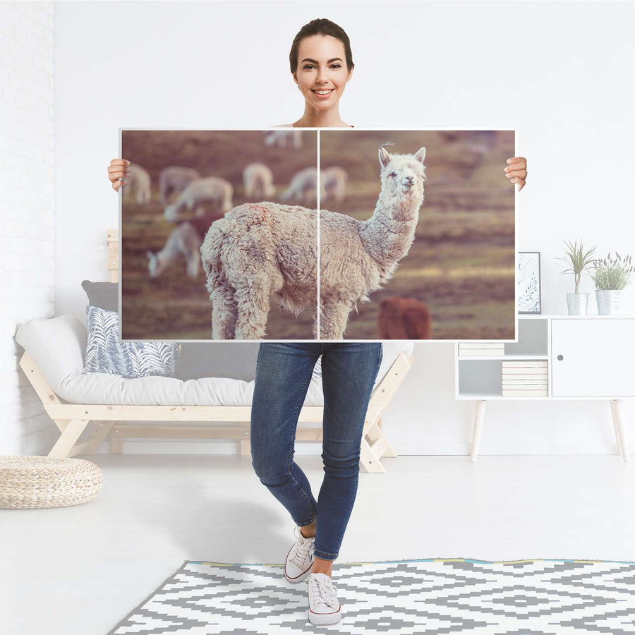 Folie für Möbel Pako - IKEA Besta Regal Quer 2 Türen - Folie