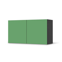 Folie für Möbel Grün Light - IKEA Besta Regal Quer 2 Türen - schwarz