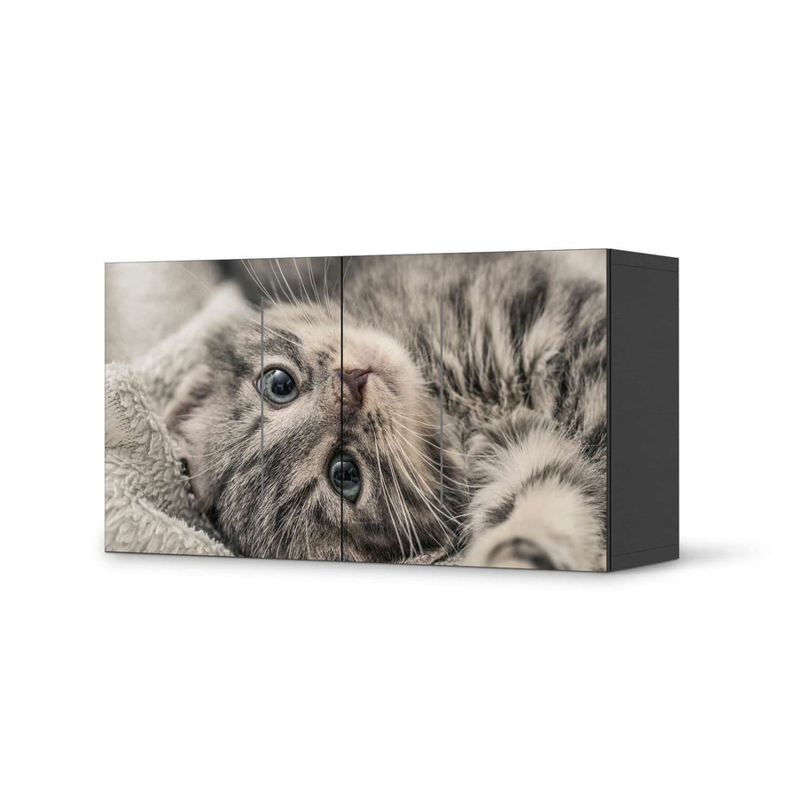 Folie für Möbel Kitty the Cat - IKEA Besta Regal Quer 2 Türen - schwarz