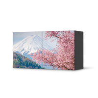 Folie für Möbel Mount Fuji - IKEA Besta Regal Quer 2 Türen - schwarz