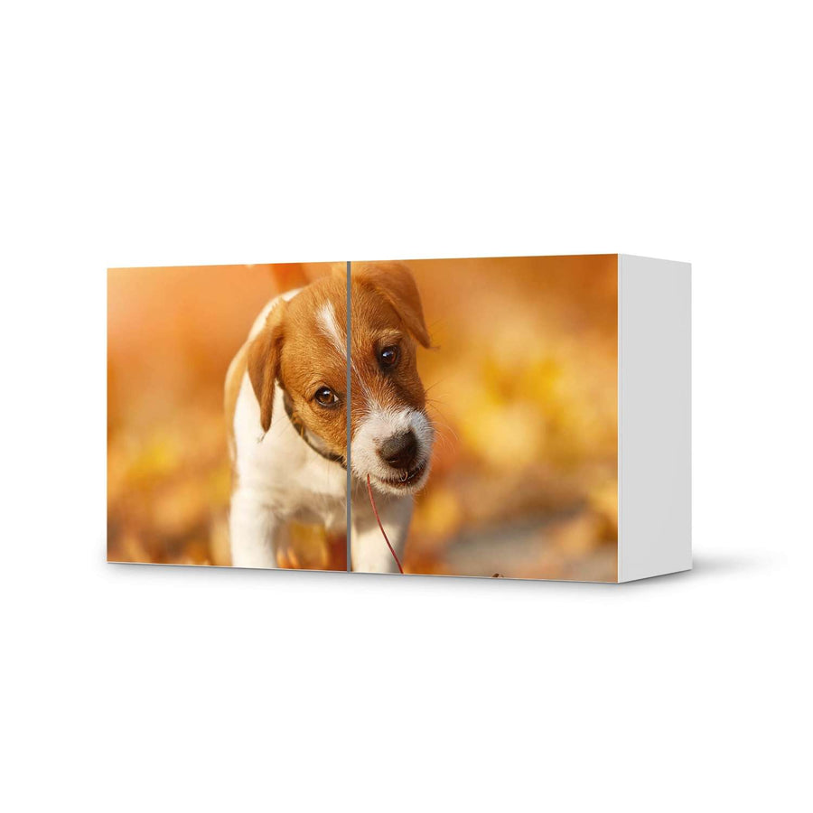 Folie für Möbel Jack the Puppy - IKEA Besta Regal Quer 2 Türen  - weiss