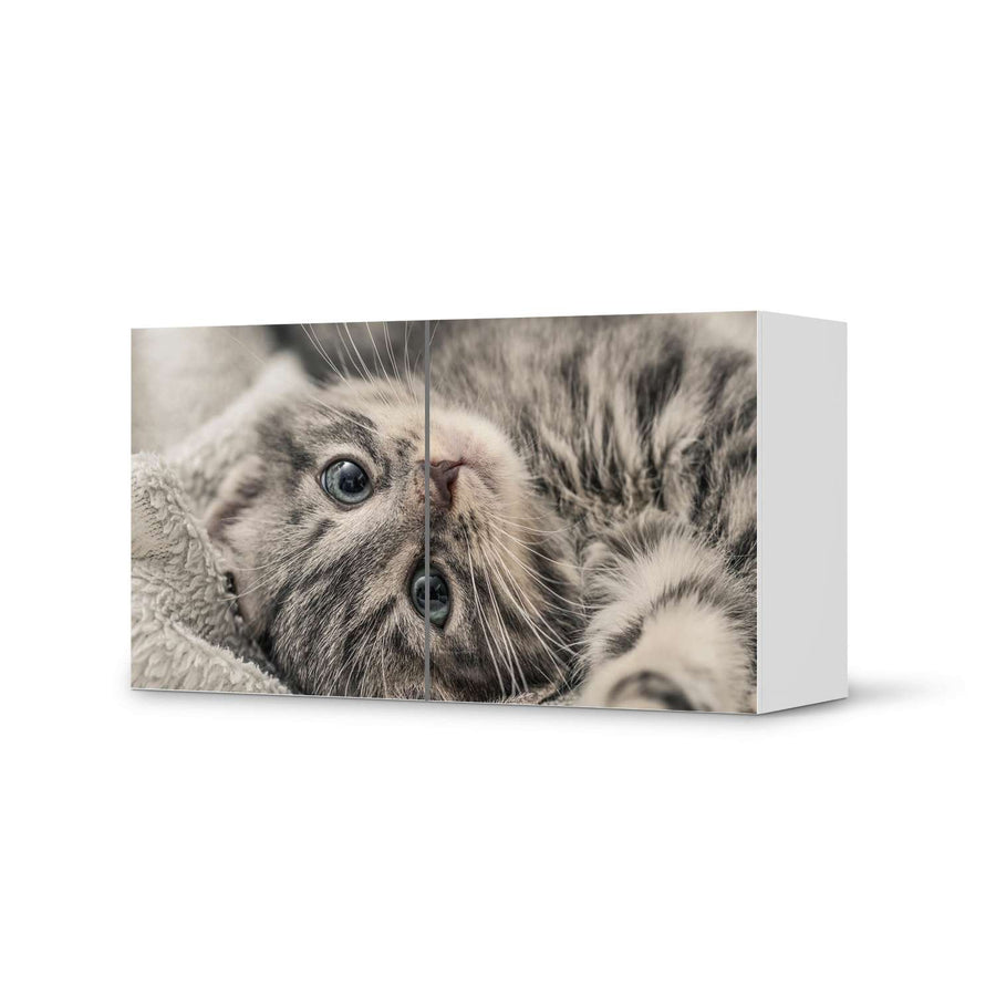 Folie für Möbel Kitty the Cat - IKEA Besta Regal Quer 2 Türen  - weiss