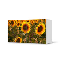 Folie für Möbel Sunflowers - IKEA Besta Regal Quer 2 Türen  - weiss