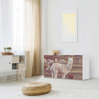 Folie für Möbel Pako - IKEA Besta Regal Quer 2 Türen - Wohnzimmer