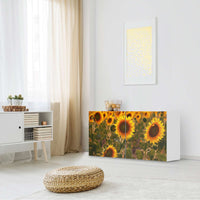 Folie für Möbel Sunflowers - IKEA Besta Regal Quer 2 Türen - Wohnzimmer