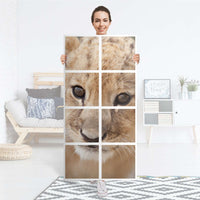 Folie für Möbel Simba - IKEA Kallax Regal 8 Türen - Folie