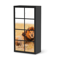 Folie für Möbel Lion King - IKEA Kallax Regal 8 Türen - schwarz