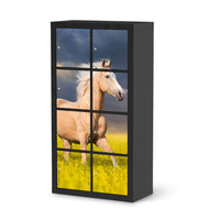 Folie für Möbel Wildpferd - IKEA Kallax Regal 8 Türen - schwarz