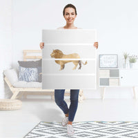 Folie für Möbel Origami Lion - IKEA Malm Kommode 4 Schubladen - Folie