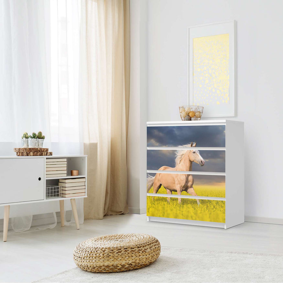 Folie für Möbel Wildpferd - IKEA Malm Kommode 4 Schubladen - Schlafzimmer