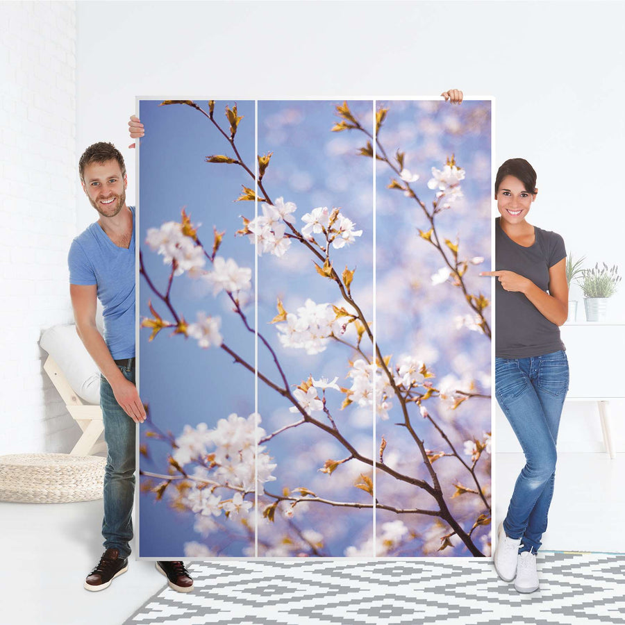 Folie für Möbel Apple Blossoms - IKEA Pax Schrank 201 cm Höhe - 3 Türen - Folie