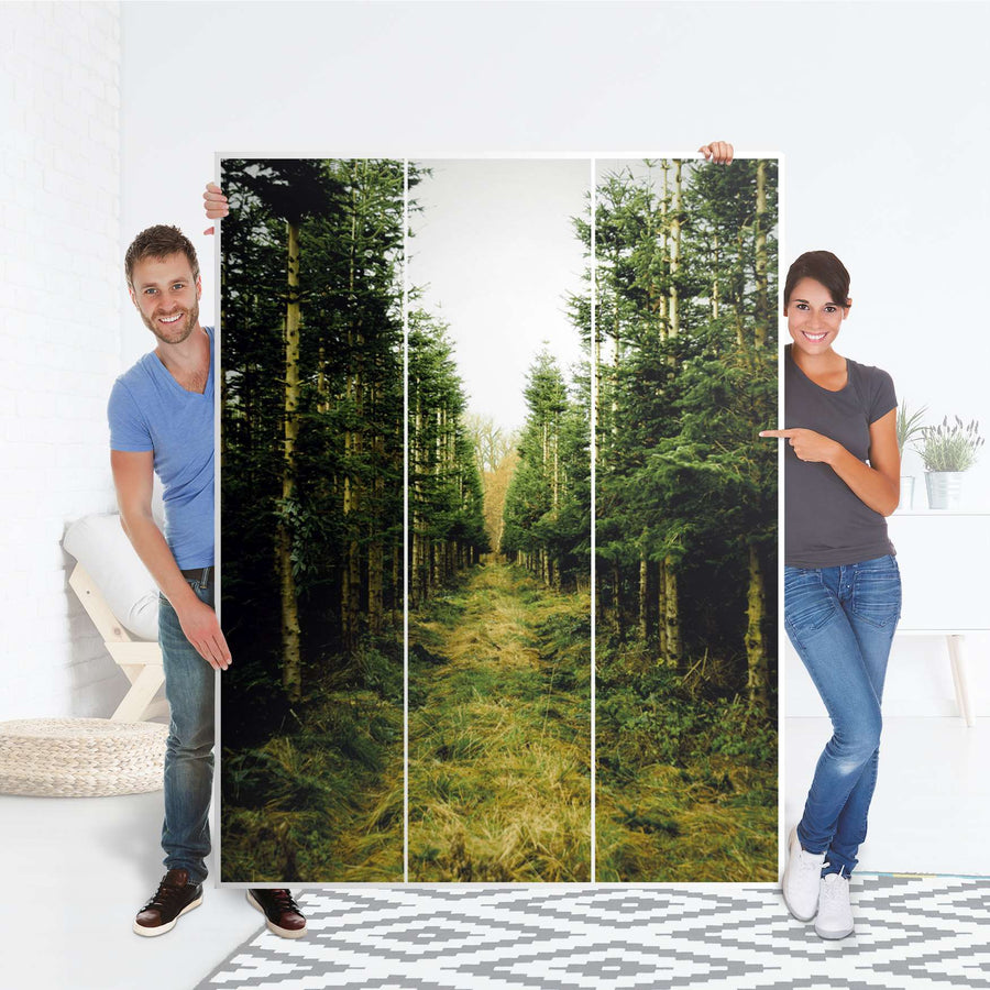 Folie für Möbel Green Alley - IKEA Pax Schrank 201 cm Höhe - 3 Türen - Folie
