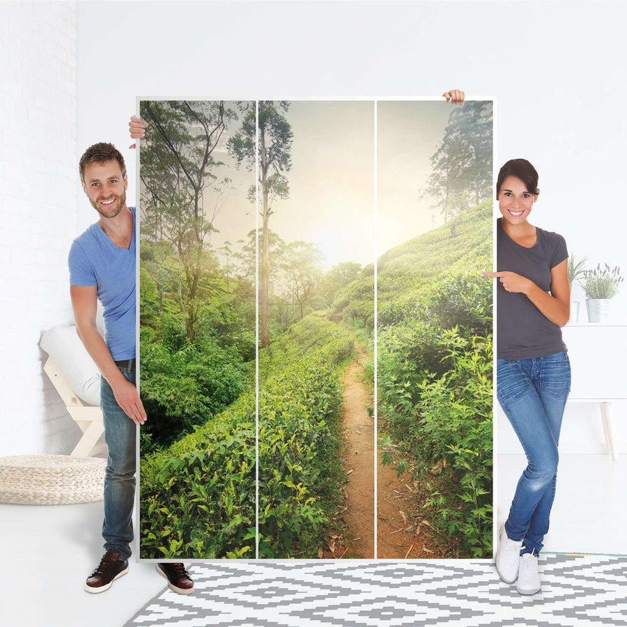 Folie für Möbel Green Tea Fields - IKEA Pax Schrank 201 cm Höhe - 3 Türen - Folie
