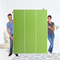 Folie für Möbel Hellgrün Dark - IKEA Pax Schrank 201 cm Höhe - 3 Türen - Folie