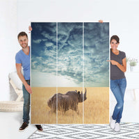 Folie für Möbel Rhino - IKEA Pax Schrank 201 cm Höhe - 3 Türen - Folie