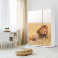 Folie für Möbel Lion King - IKEA Pax Schrank 201 cm Höhe - 3 Türen - Schlafzimmer
