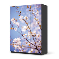 Folie für Möbel Apple Blossoms - IKEA Pax Schrank 201 cm Höhe - 3 Türen - schwarz