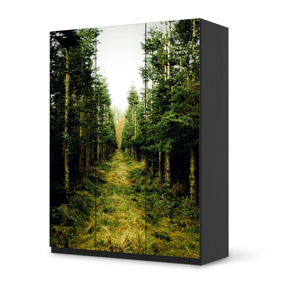 Folie für Möbel Green Alley - IKEA Pax Schrank 201 cm Höhe - 3 Türen - schwarz