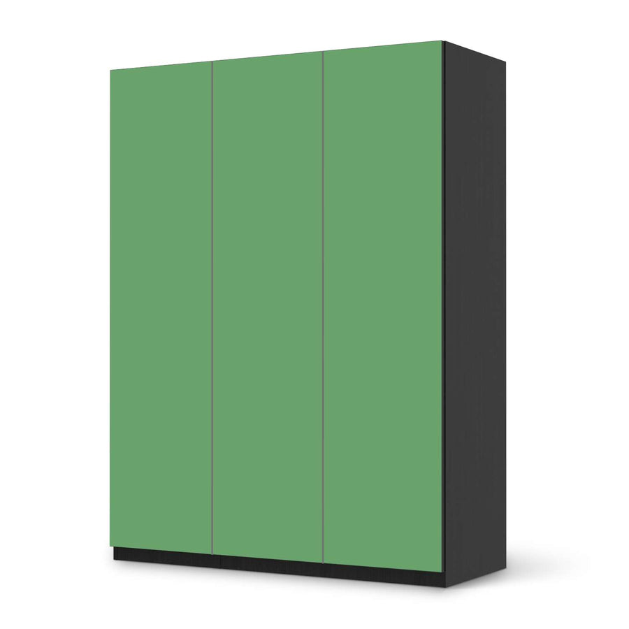 Folie für Möbel Grün Light - IKEA Pax Schrank 201 cm Höhe - 3 Türen - schwarz