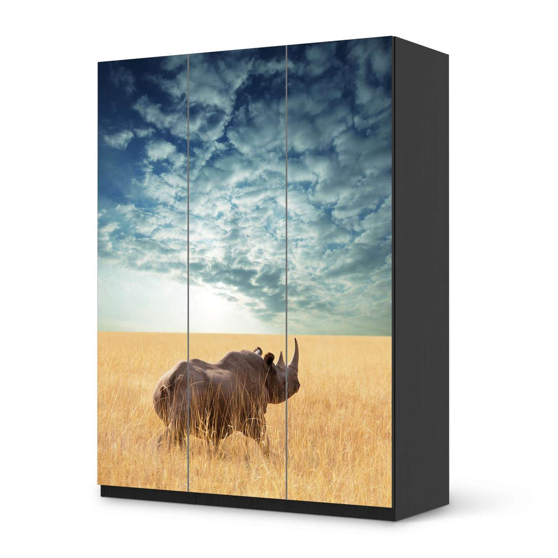 Folie für Möbel Rhino - IKEA Pax Schrank 201 cm Höhe - 3 Türen - schwarz