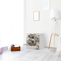 Folie für Möbel Kitty the Cat - IKEA Stuva Kommode - 3 Schubladen (Kombination 1) - Wohnzimmer