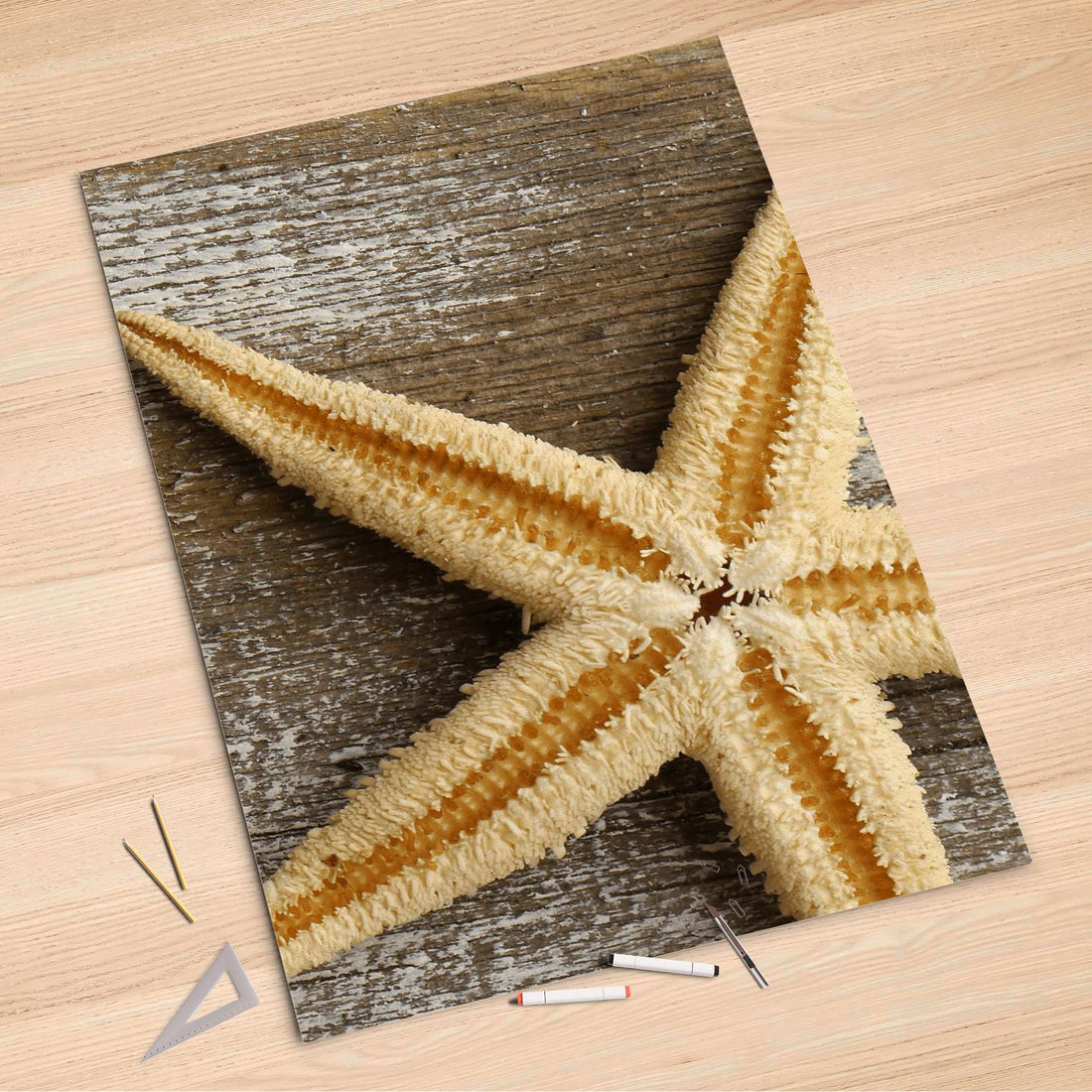 Folienbogen Starfish - 100x150 cm