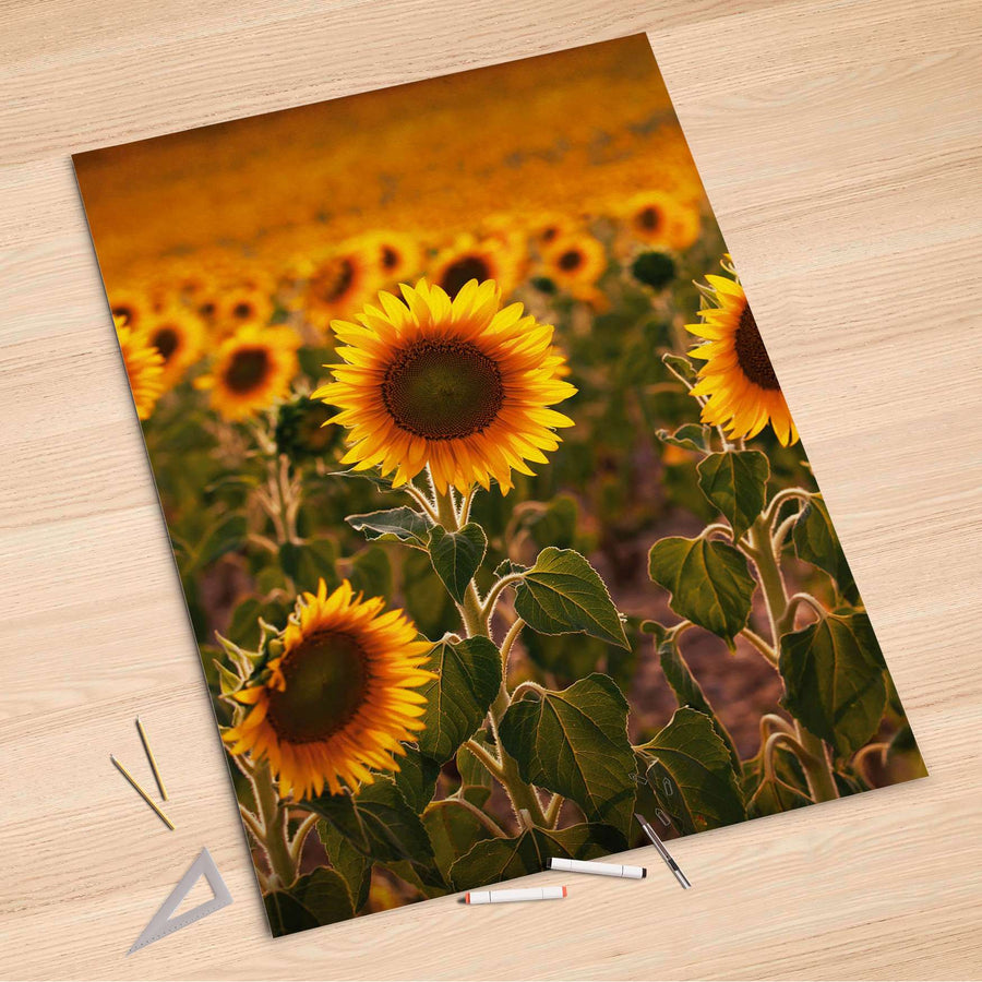Folienbogen Sunflowers - 100x150 cm