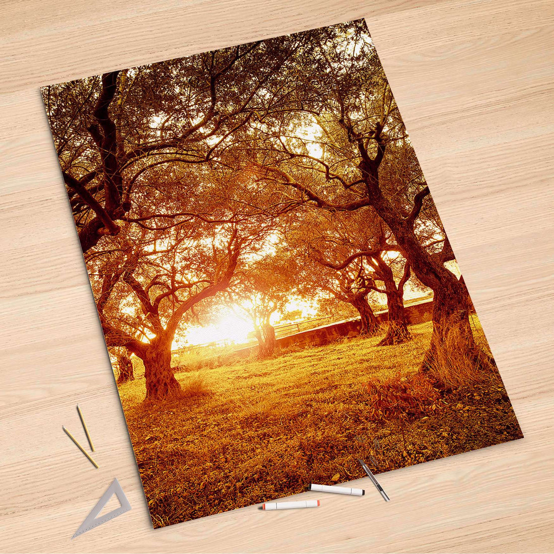 Folienbogen Tree Sunlight - 100x150 cm