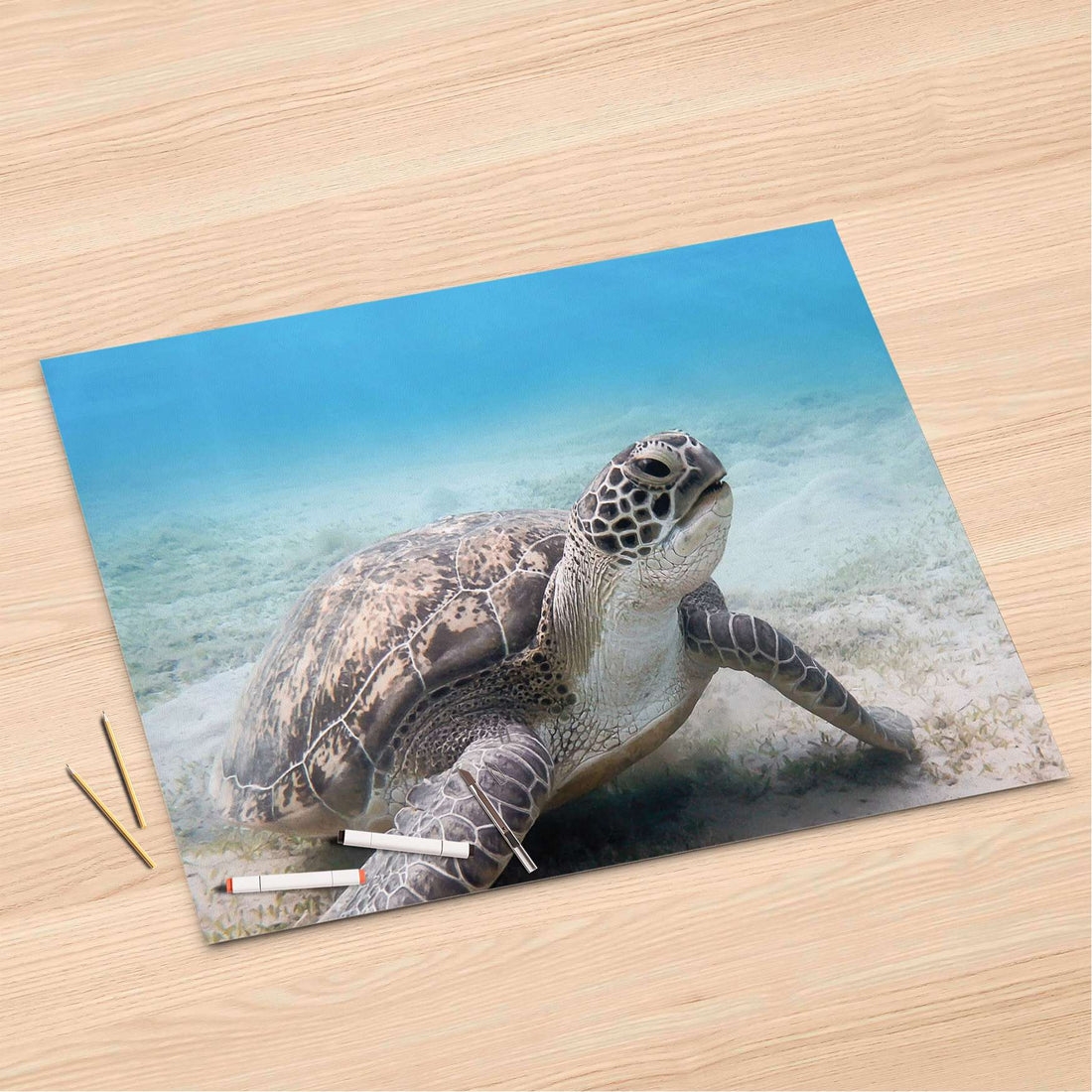 Folienbogen Green Sea Turtle - 120x80 cm