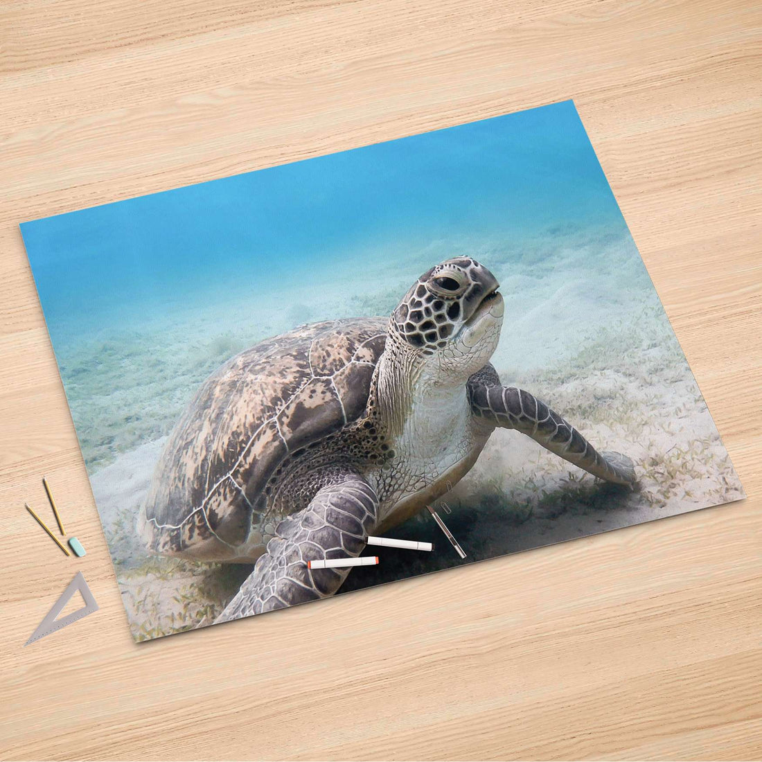 Folienbogen Green Sea Turtle - 150x100 cm