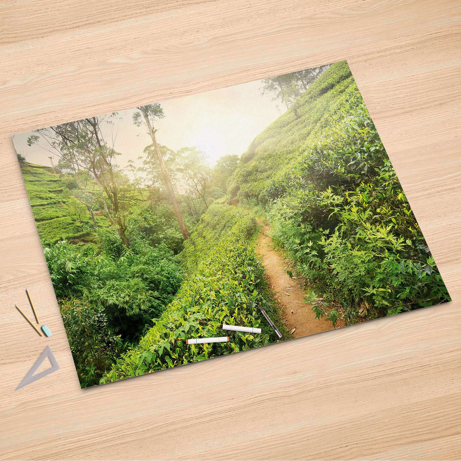 Folienbogen Green Tea Fields - 150x100 cm