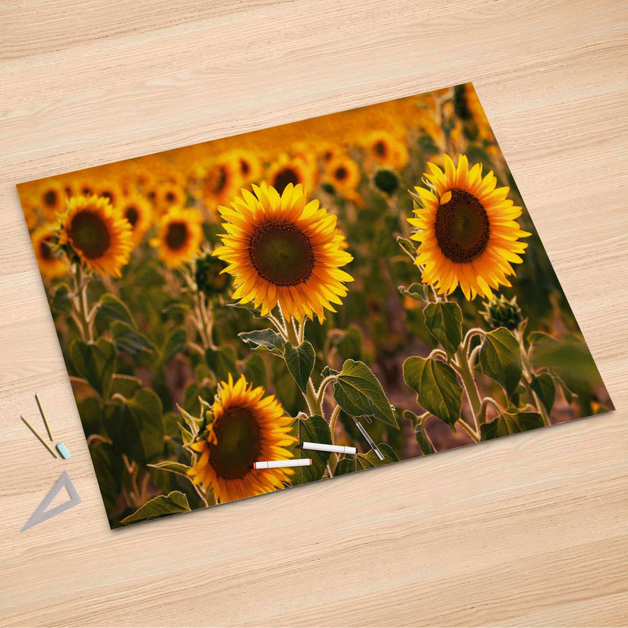 Folienbogen Sunflowers - 150x100 cm