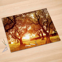 Folienbogen Tree Sunlight - 150x100 cm