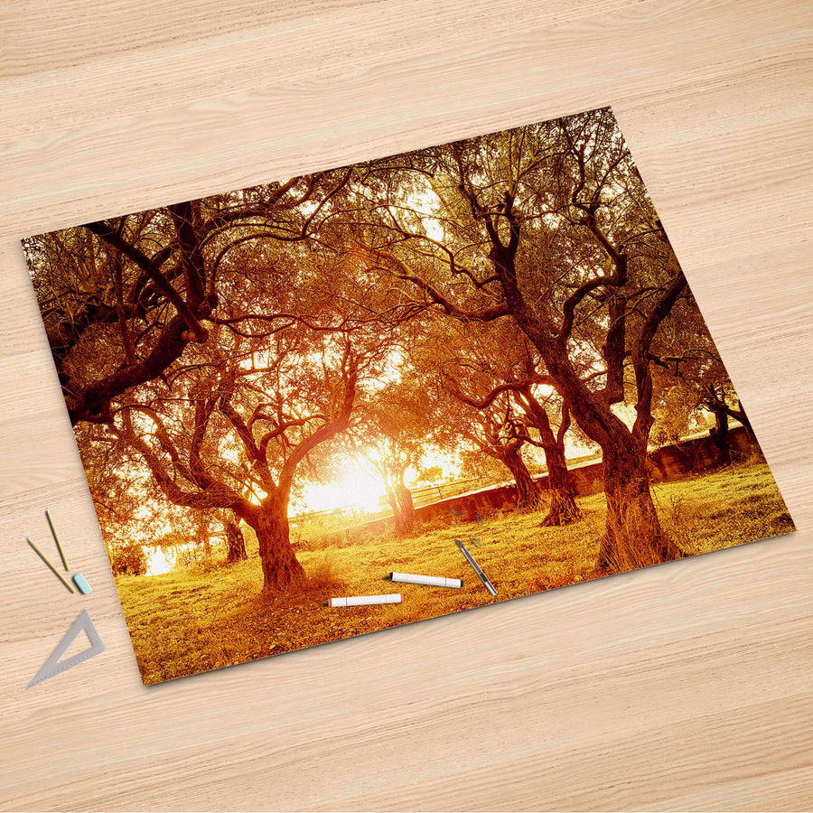 Folienbogen Tree Sunlight - 150x100 cm