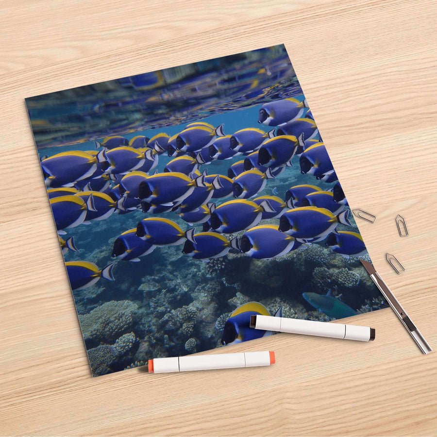 Folienbogen Fish swarm - 30x30 cm