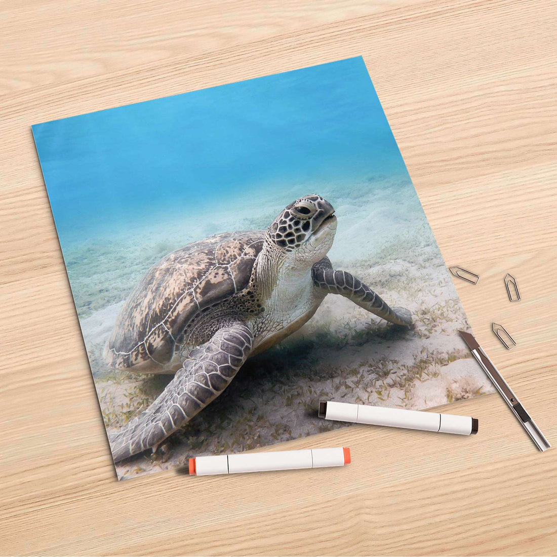 Folienbogen Green Sea Turtle - 30x30 cm