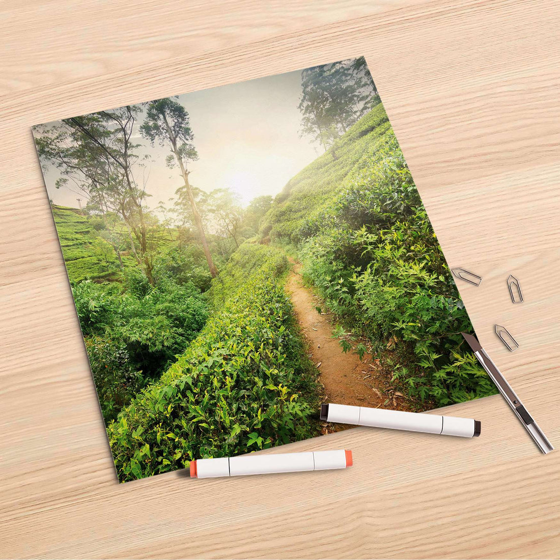 Folienbogen Green Tea Fields - 30x30 cm