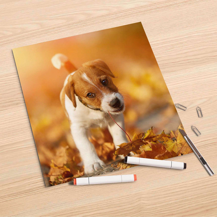 Folienbogen Jack the Puppy - 30x30 cm