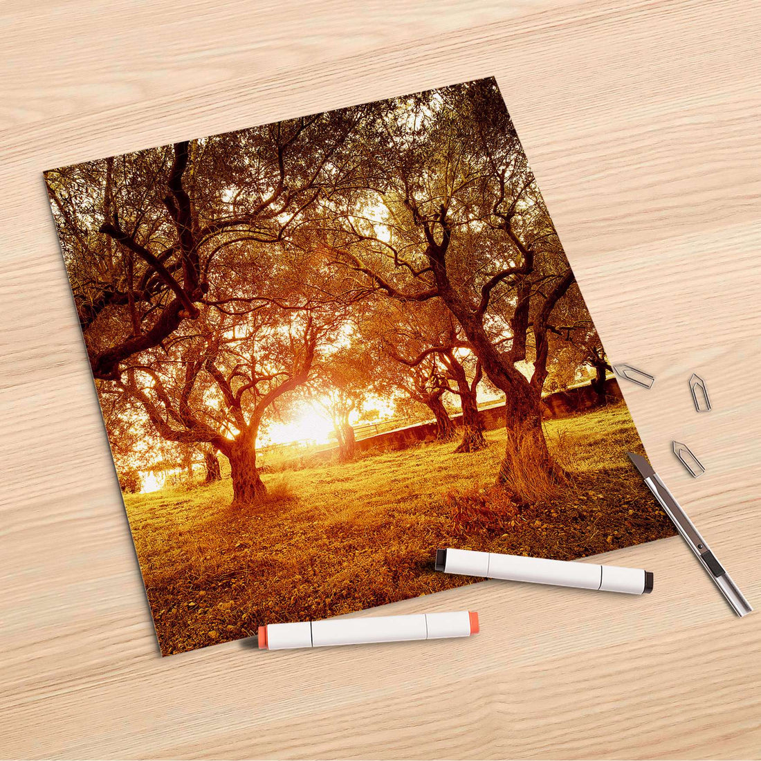 Folienbogen Tree Sunlight - 30x30 cm