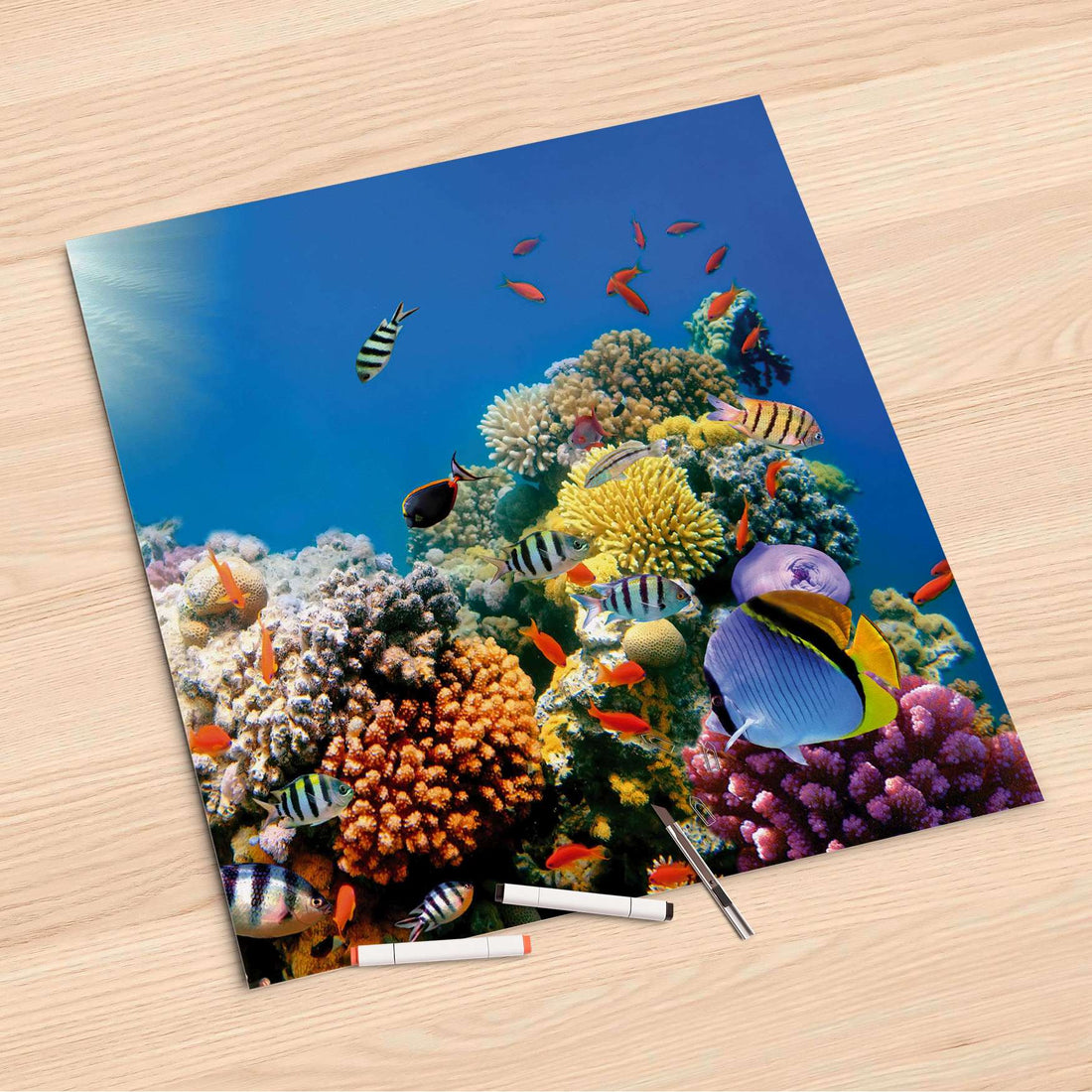 Folienbogen Coral Reef - 60x60 cm