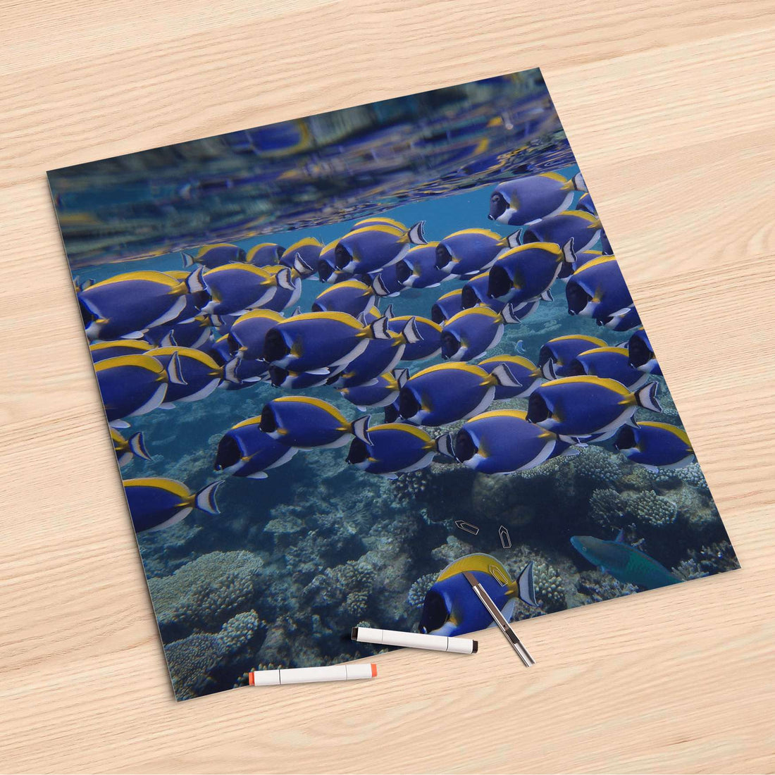 Folienbogen Fish swarm - 60x60 cm