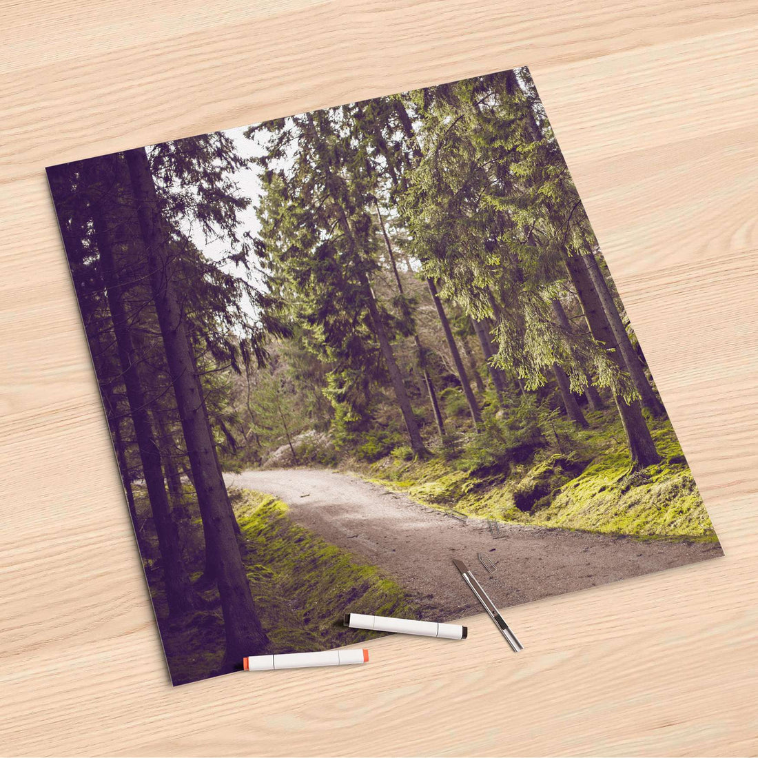 Folienbogen Forest Walk - 60x60 cm