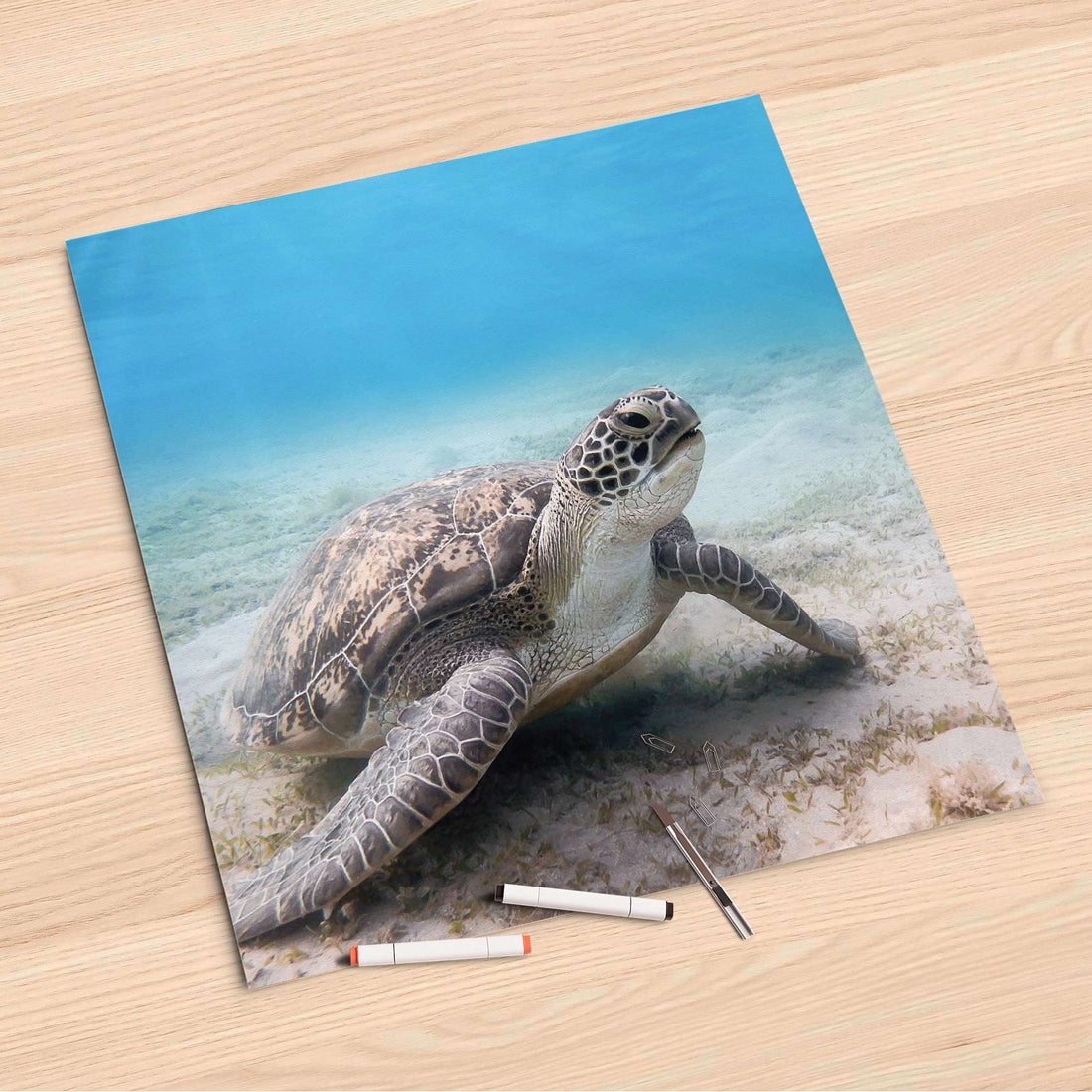 Folienbogen Green Sea Turtle - 60x60 cm