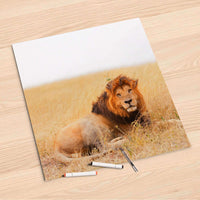 Folienbogen Lion King - 60x60 cm