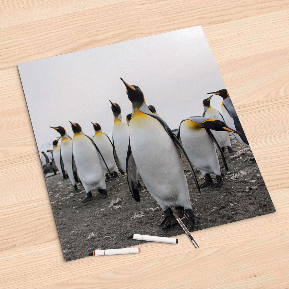 Folienbogen Penguin Family - 60x60 cm