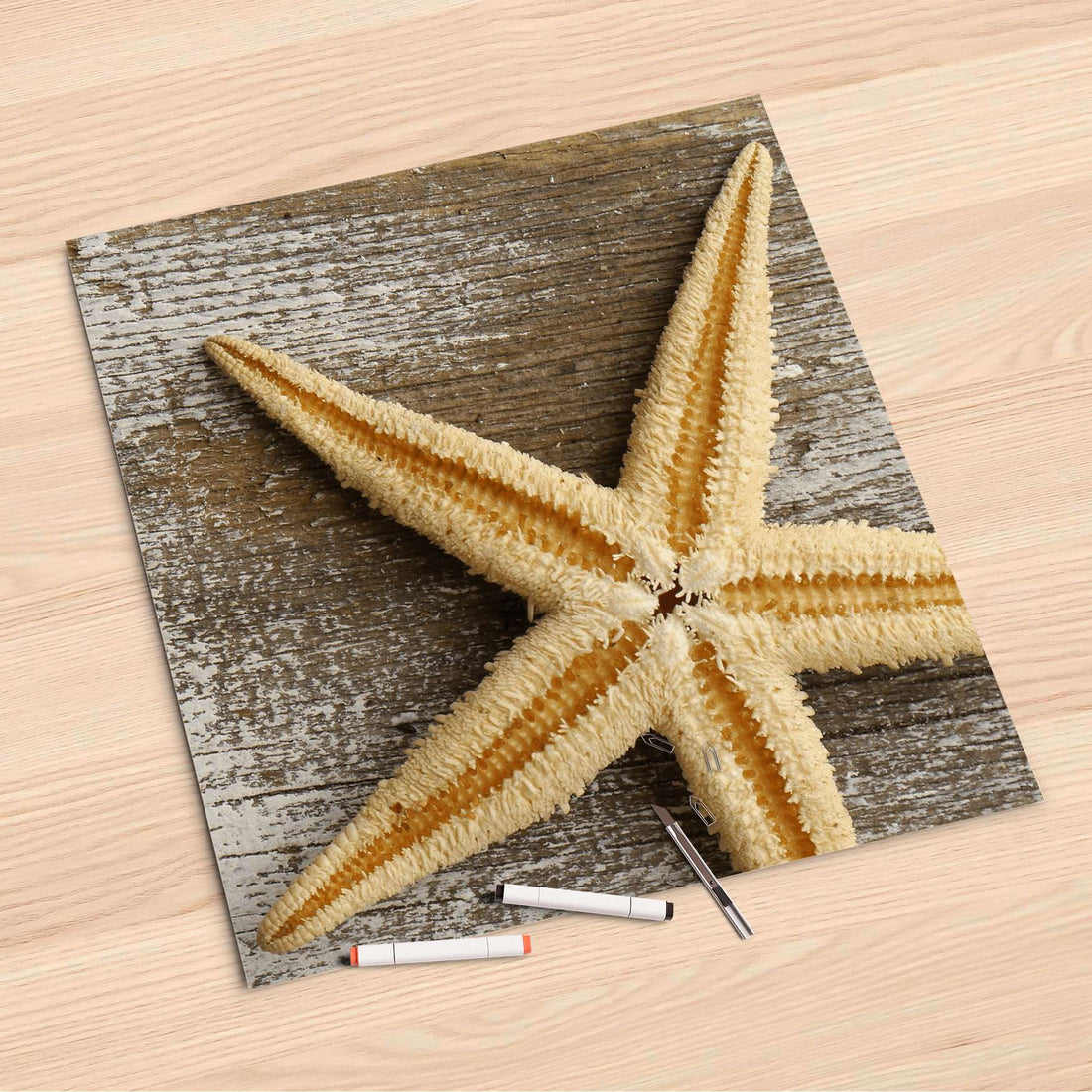 Folienbogen Starfish - 60x60 cm