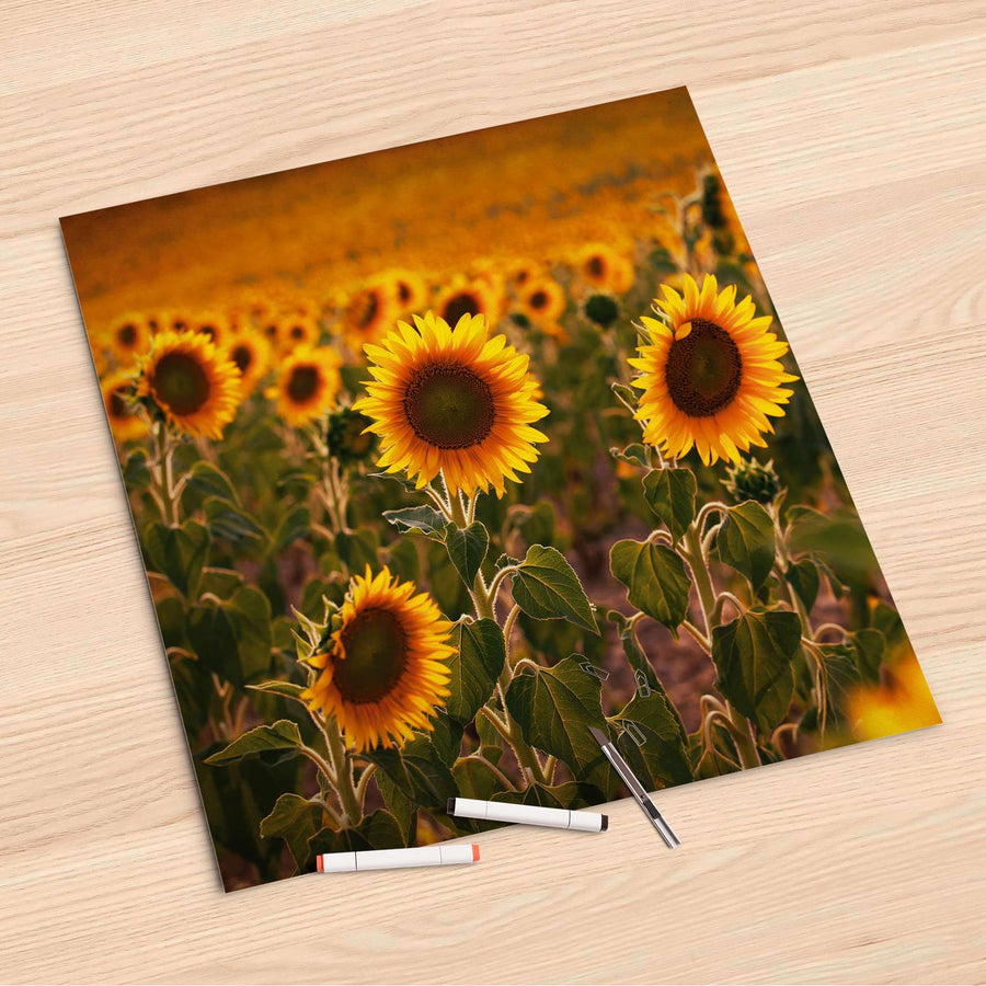 Folienbogen Sunflowers - 60x60 cm